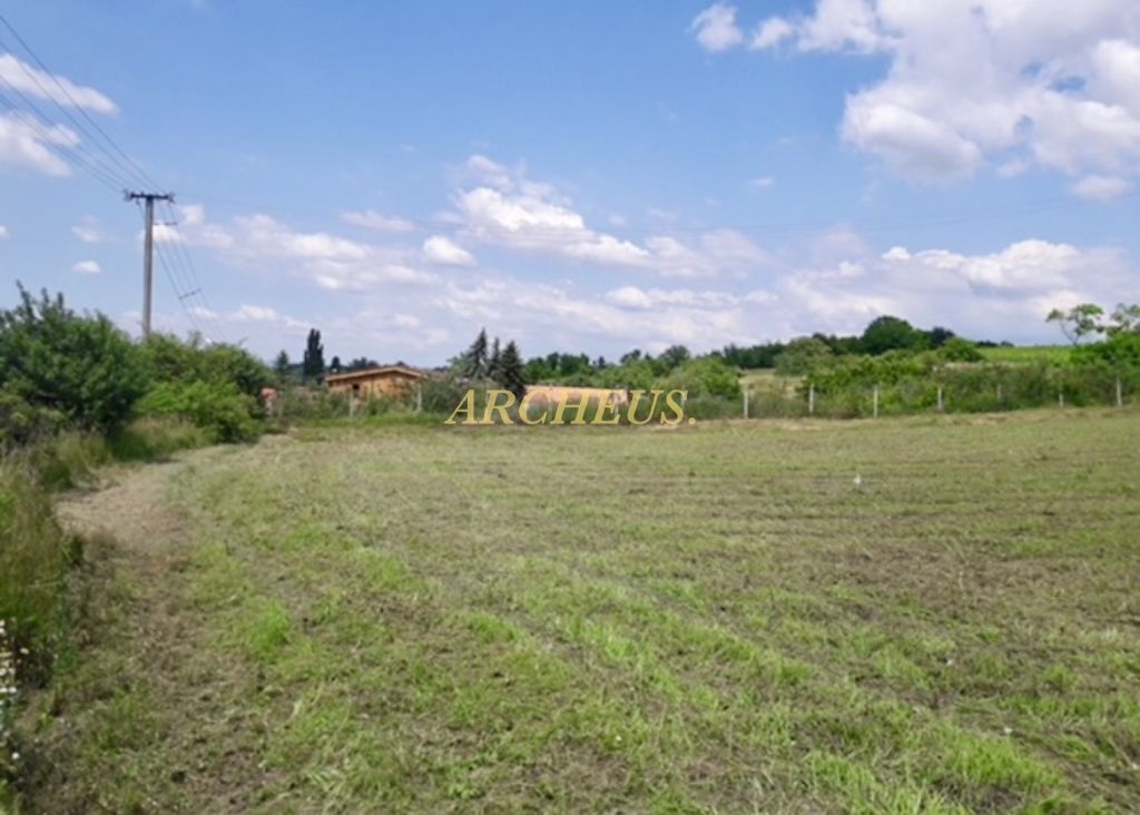 🔥SLNEČNÉ INVESTIČNÉ POZEMKY TAJNÁ - VRÁBLE, NITRA - 3