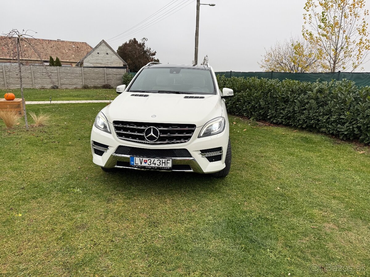 Mercedes Benz ML 250 4MATIC - 3