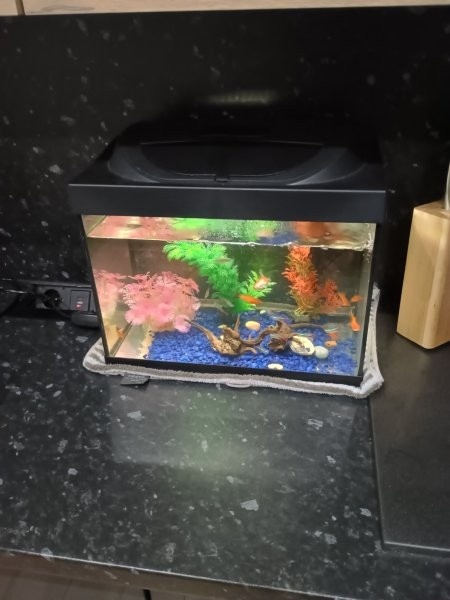 Predám akvárium - 3