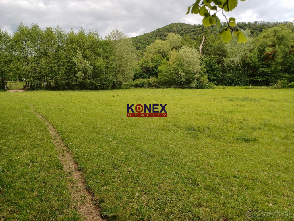 Na predaj rozľahlý pozemok PTIČIE – blízko Humenného - 3