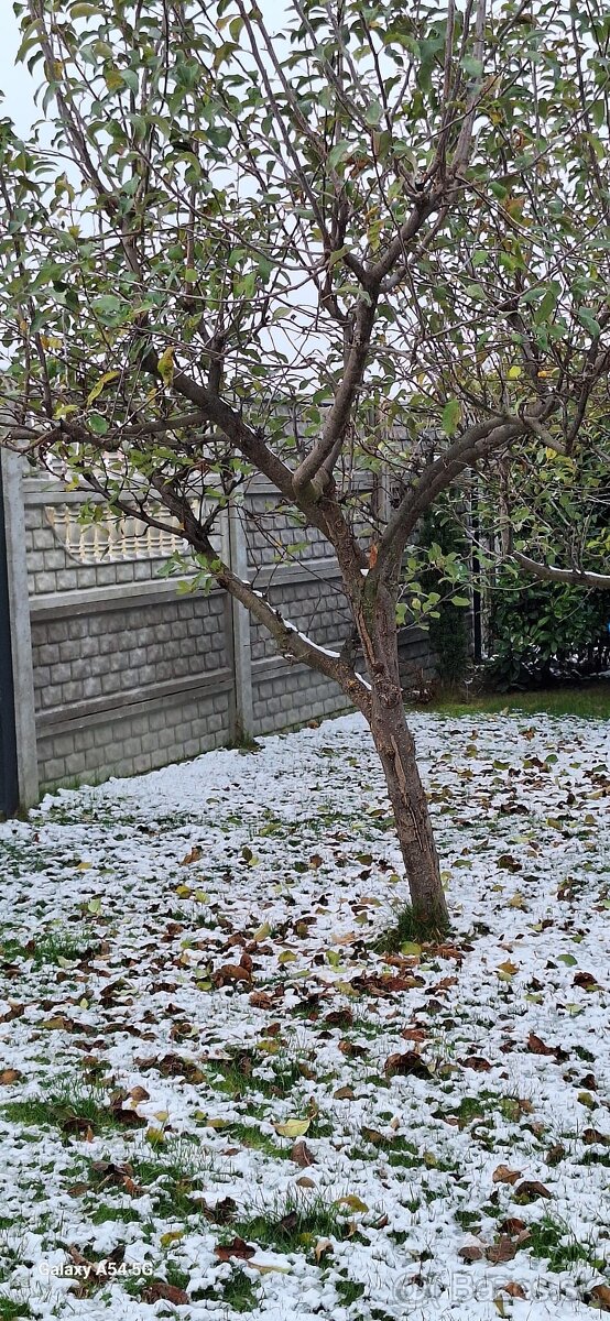 PREDAJ - 4-izbový RD - Dunajská Lužná - 3