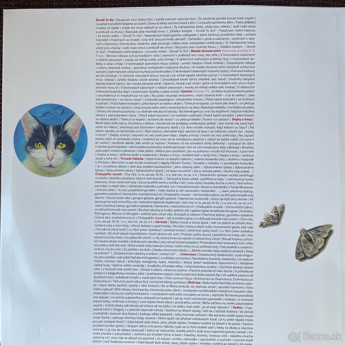 Airbrusher – Dirndl To Go vinyl limit nový - 3