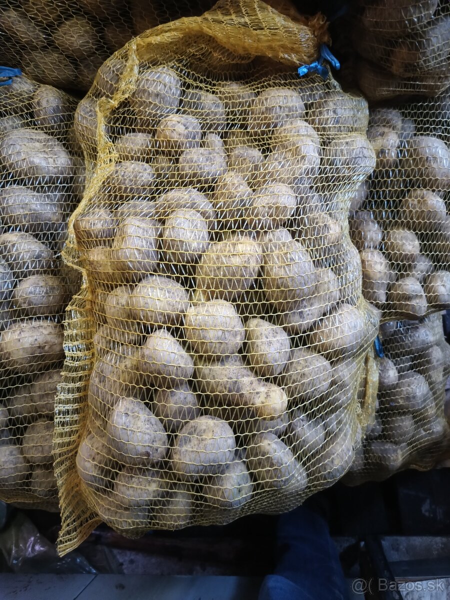 Predám zemiaky - 3