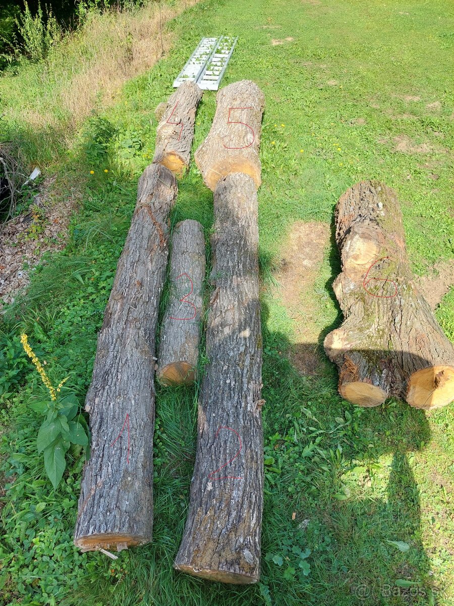 Predám dosku na krájanie / Denko, Lopár 15 /. - 3