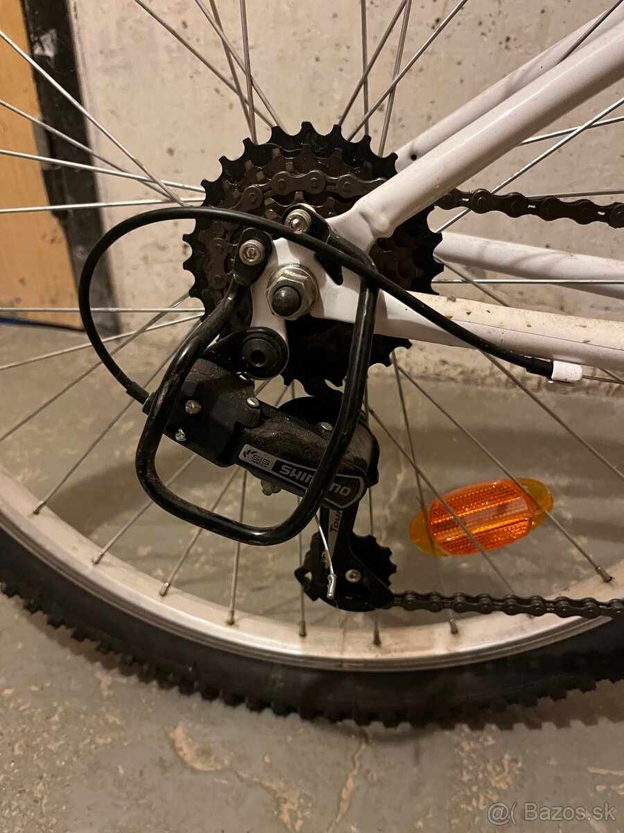 Rock Rider st 100 - 3