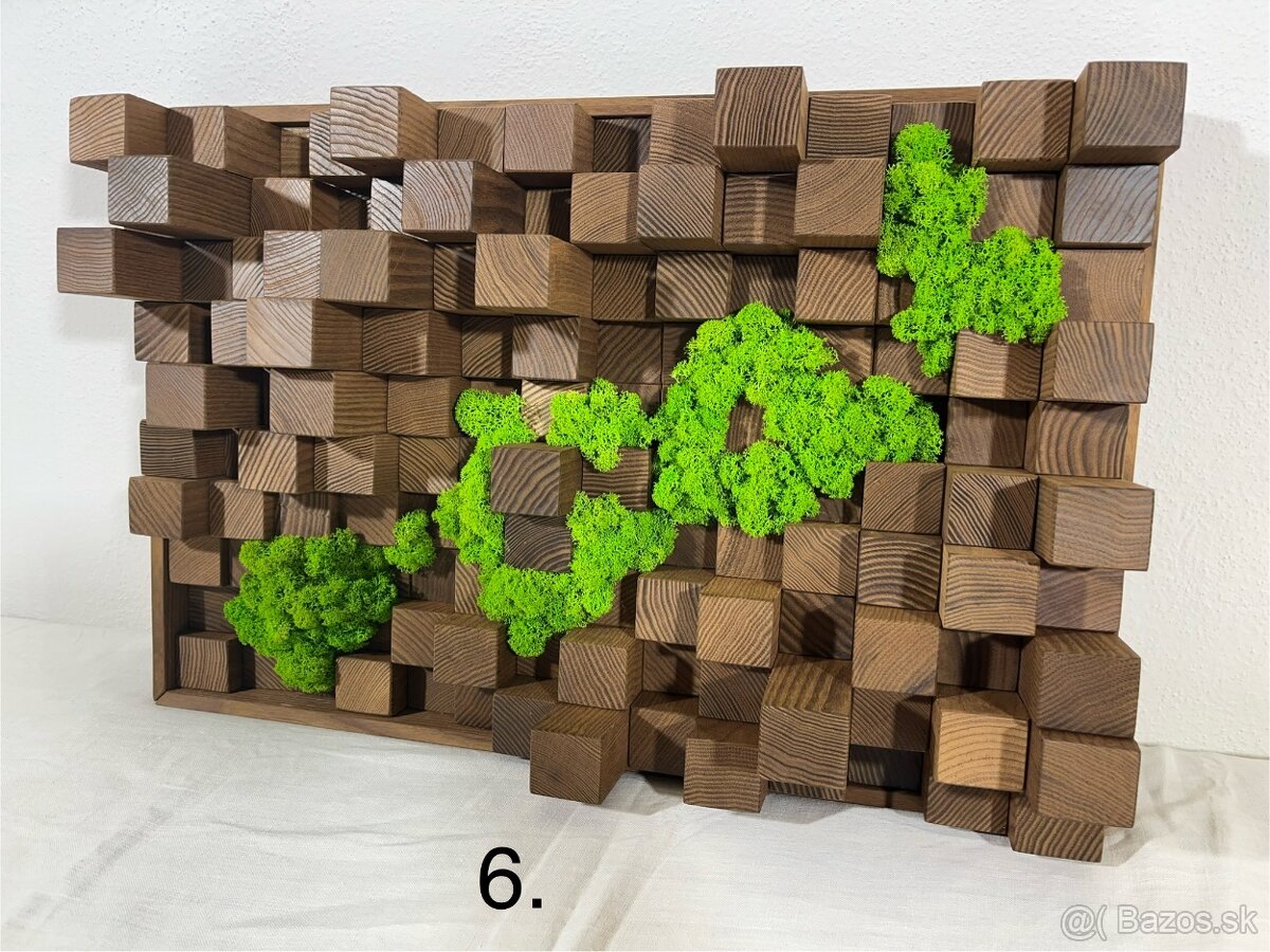 Machové obrazy - akustické difúzory - 3