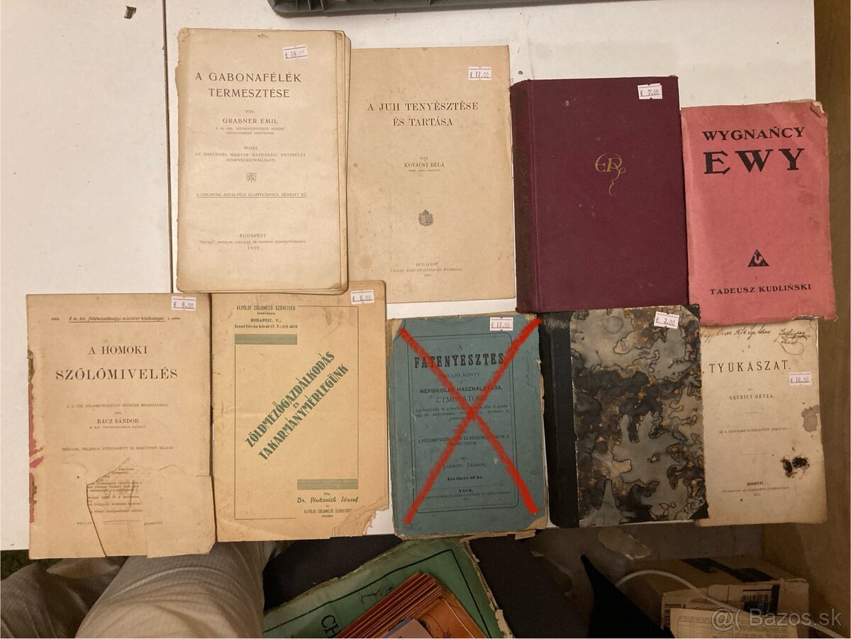 Cudzojazyčná literatúra 2 - 3