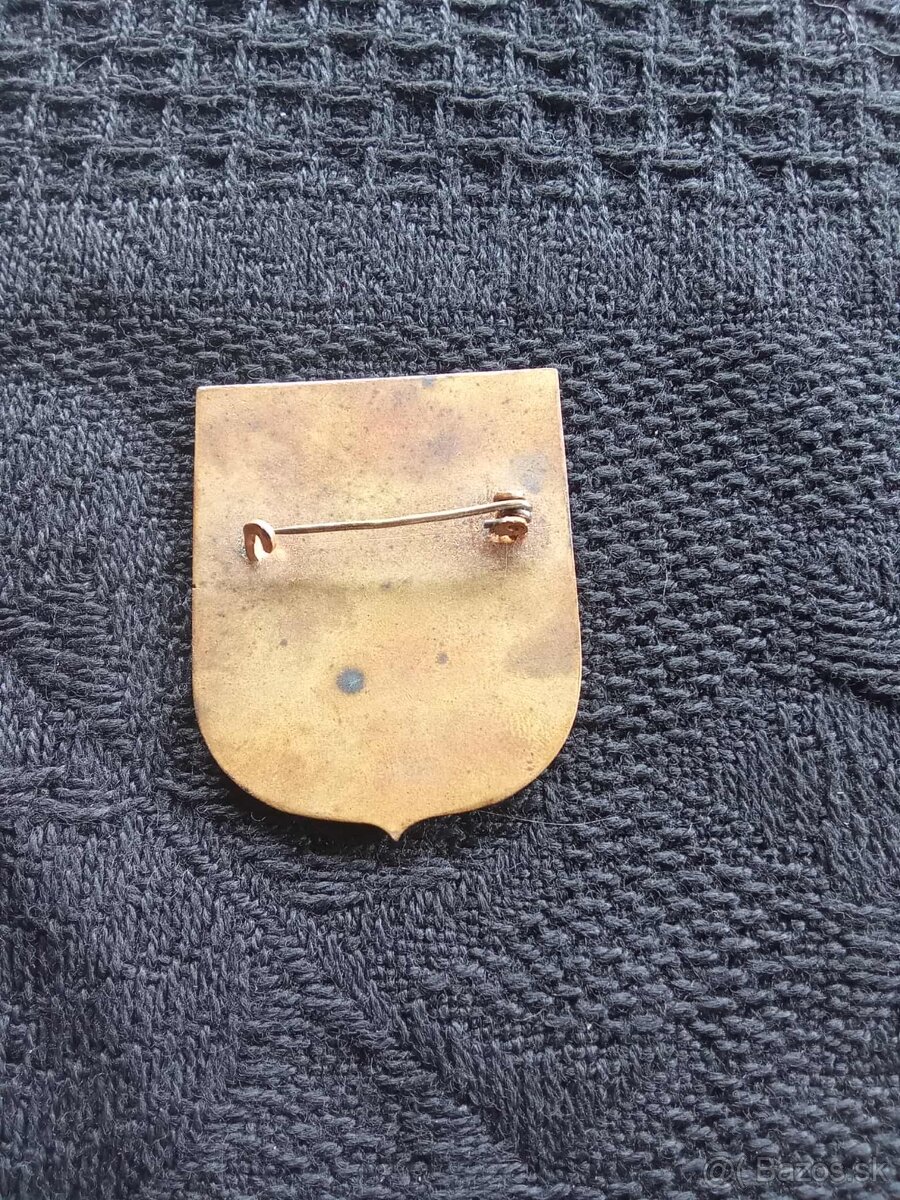 smaltovany odznak- dietna asistentka - 3