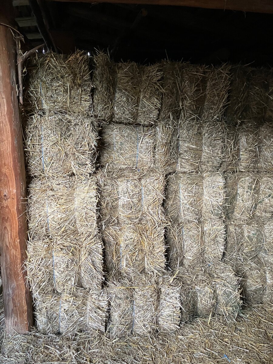 Predám slamu - 3
