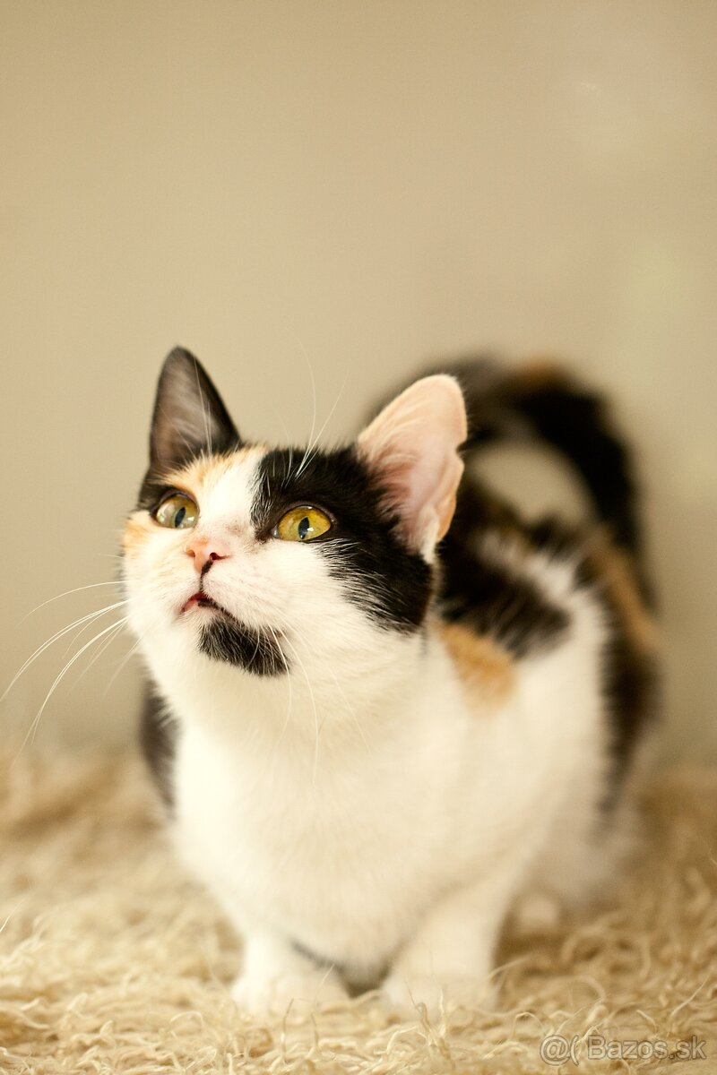 ❤ Priscila - jemná a citlivá dušička - 3