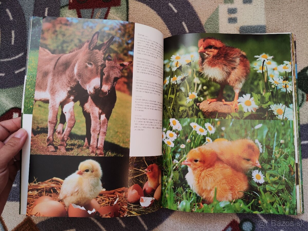 1000 mláďat (SK) - 3