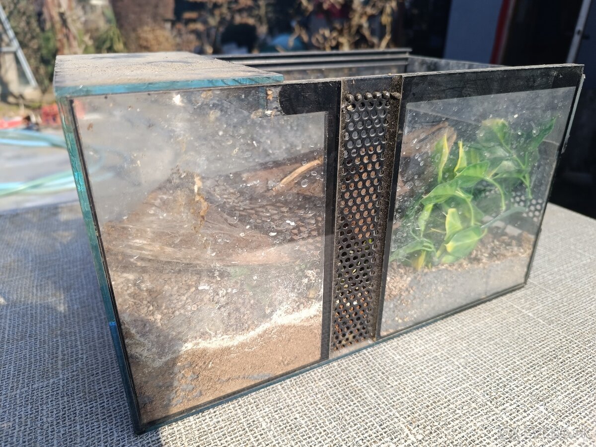Predám teraria - 3