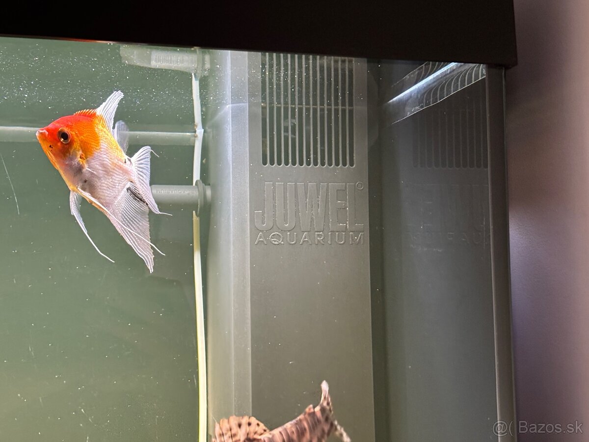 Akvarium JUWEL 200l - 3