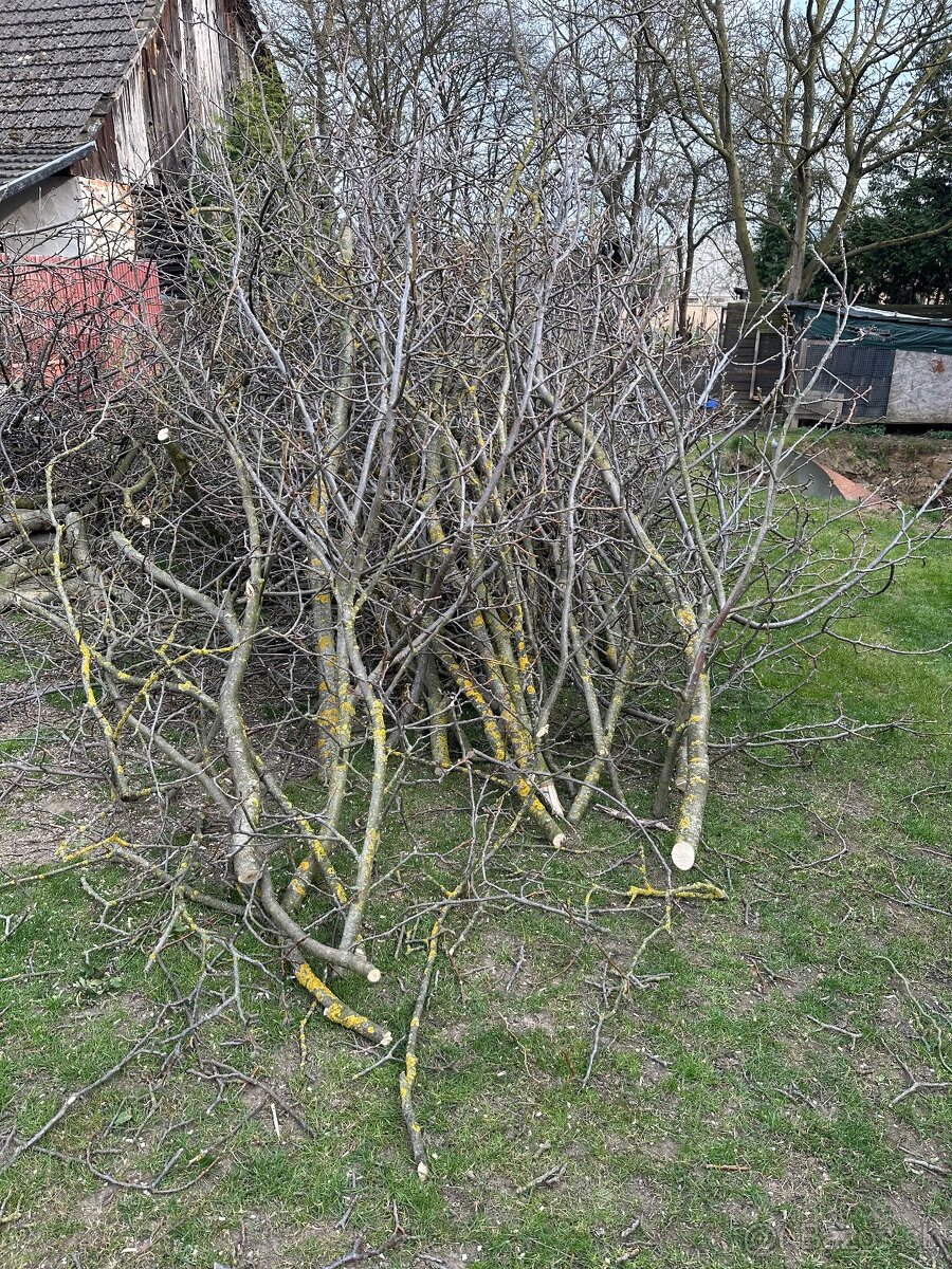 Darujem za odvoz - 3