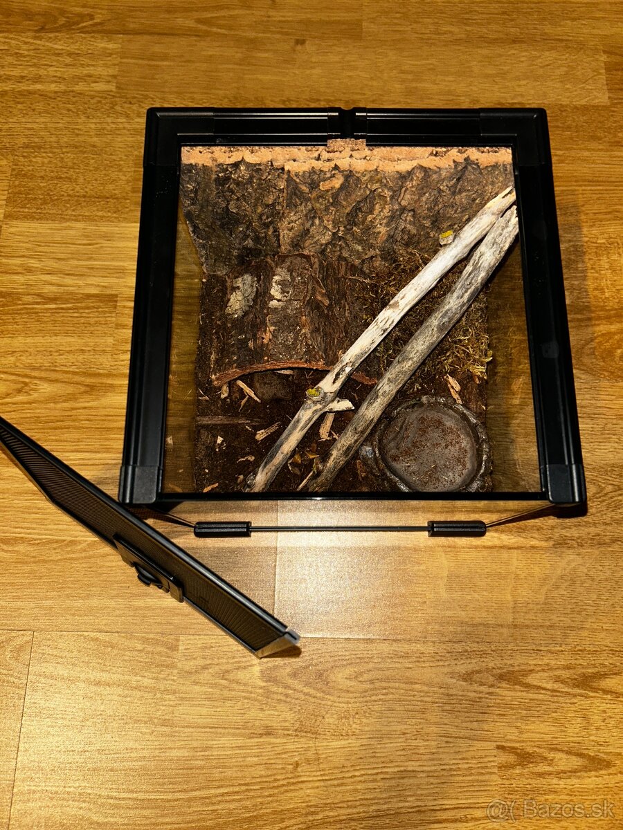 Zariadené terárium - 3