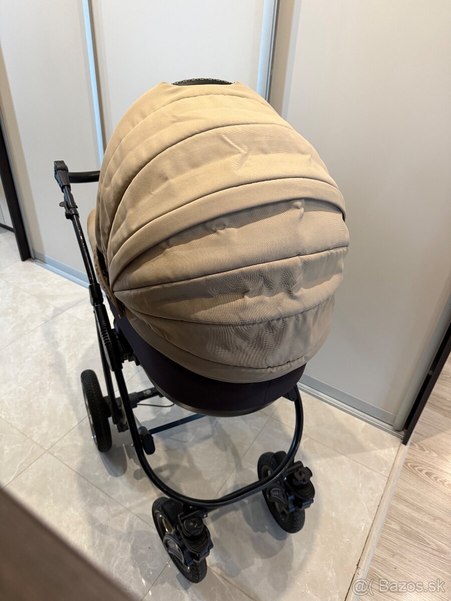 Predam kocik Camarelo - 3