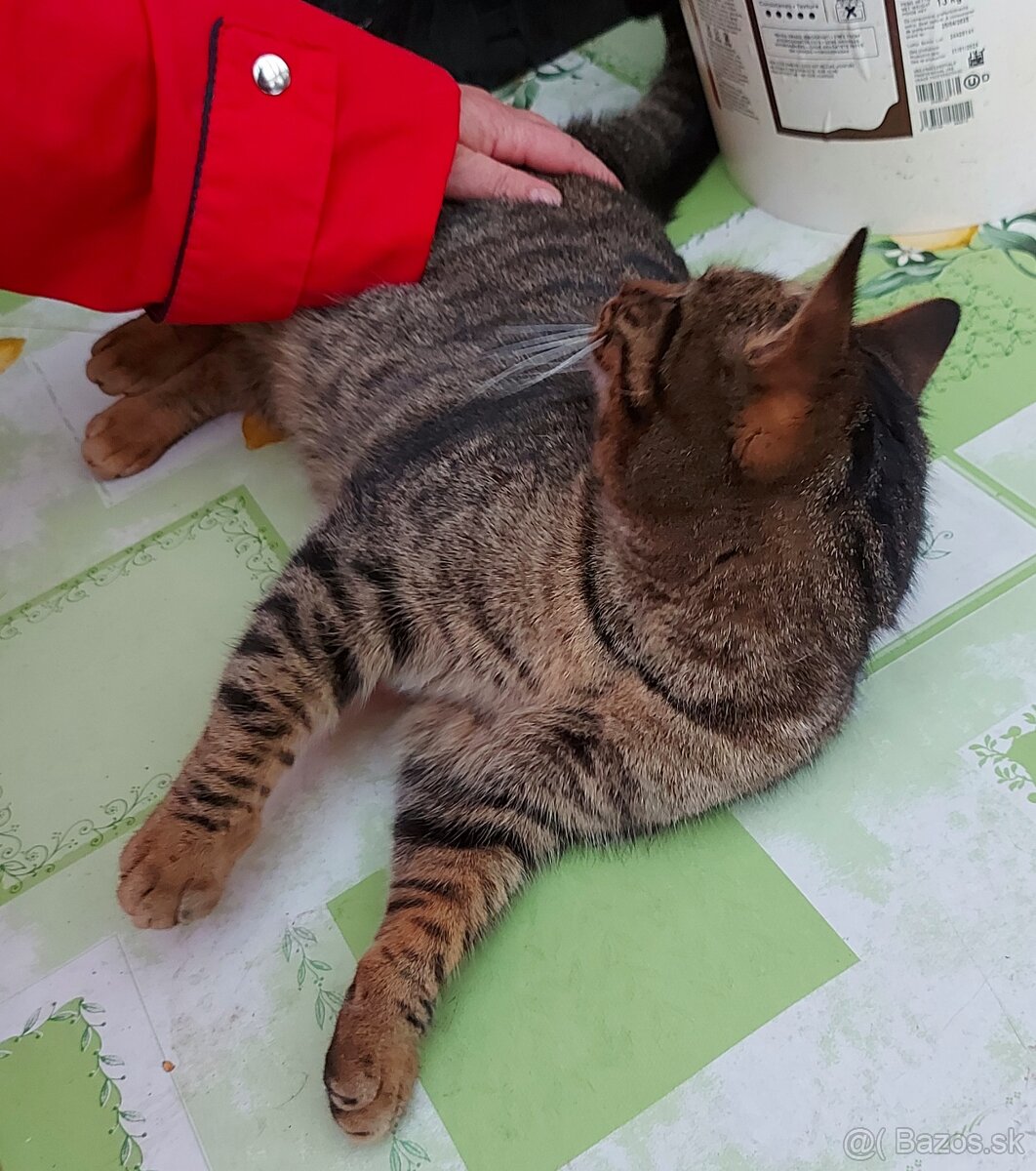 Kryštofko hlada domov - 3