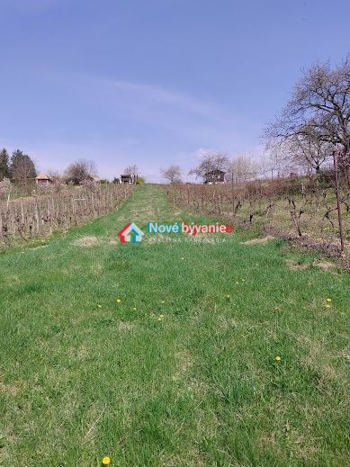 Predaj, rekreačný pozemok - Kozárovce (N018-14-MAHAa) - 3