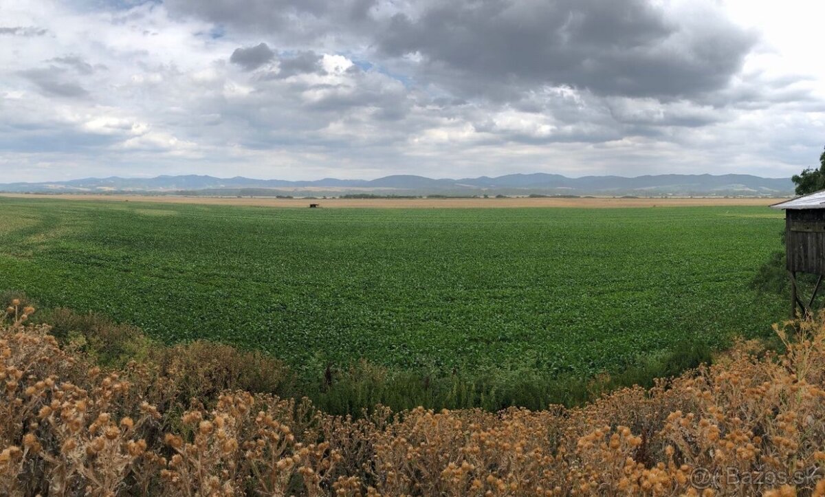 Piešťany – 3.050 m2 ORNÁ PÔDA v podiele 1/1 – Predaj - 3