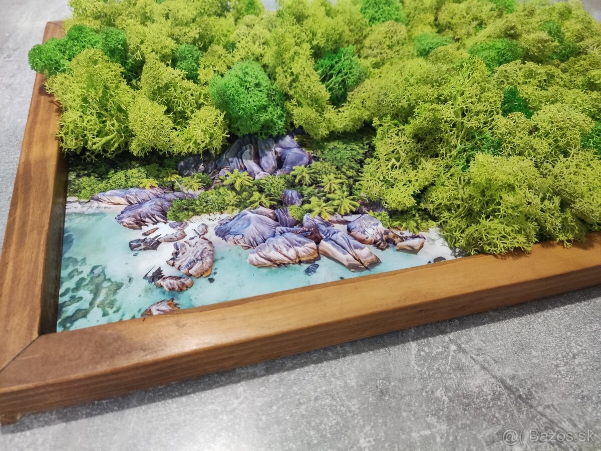 Machový obraz 40x29 cm - 3