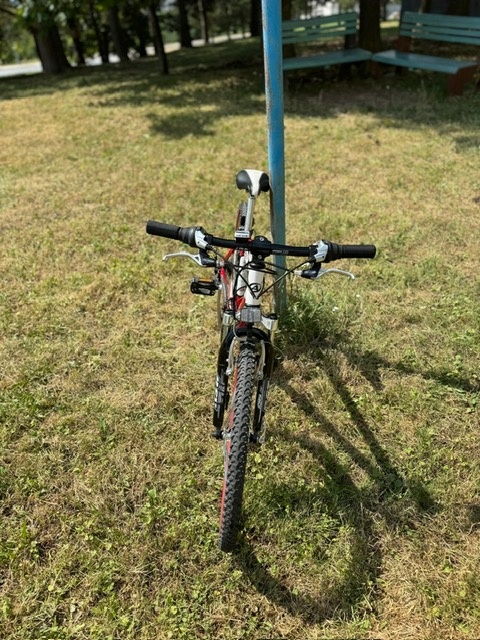 Detský bicykel AUTHOR - 3