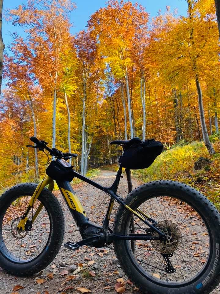 Rock Machine Avalanche INT e70-26 - 3