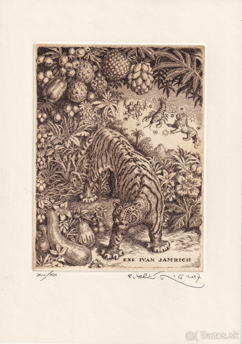 predam grafiky od Peter Klucik - 3