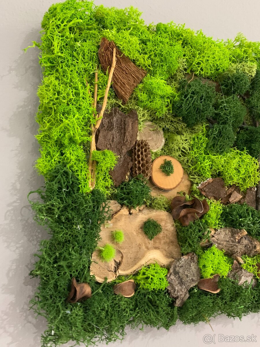 Machový obraz Tree - 3