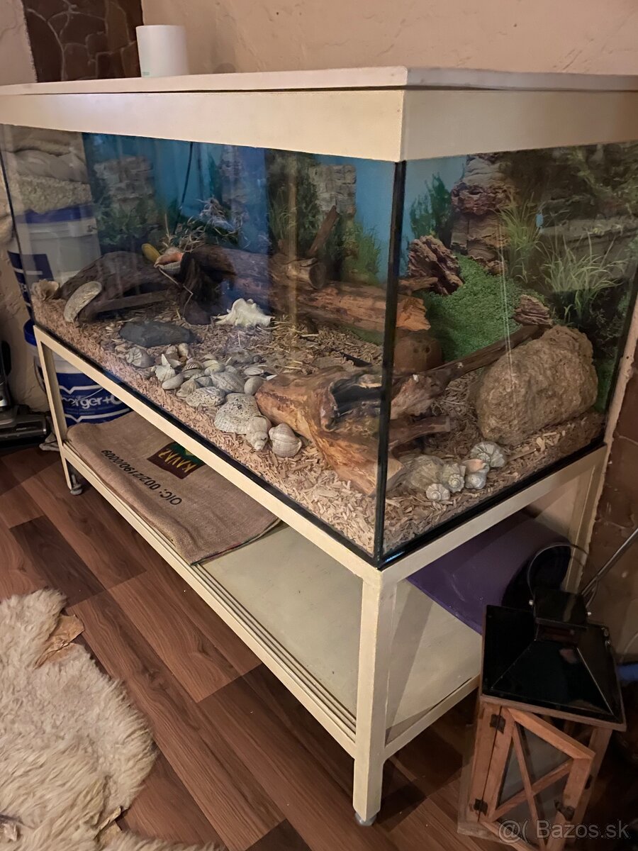 Terárium so skrinkou - 3