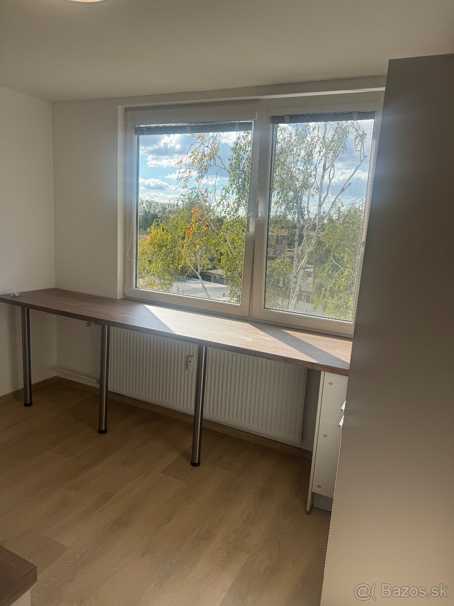 Prenájom 1 izboveho bytu - 3