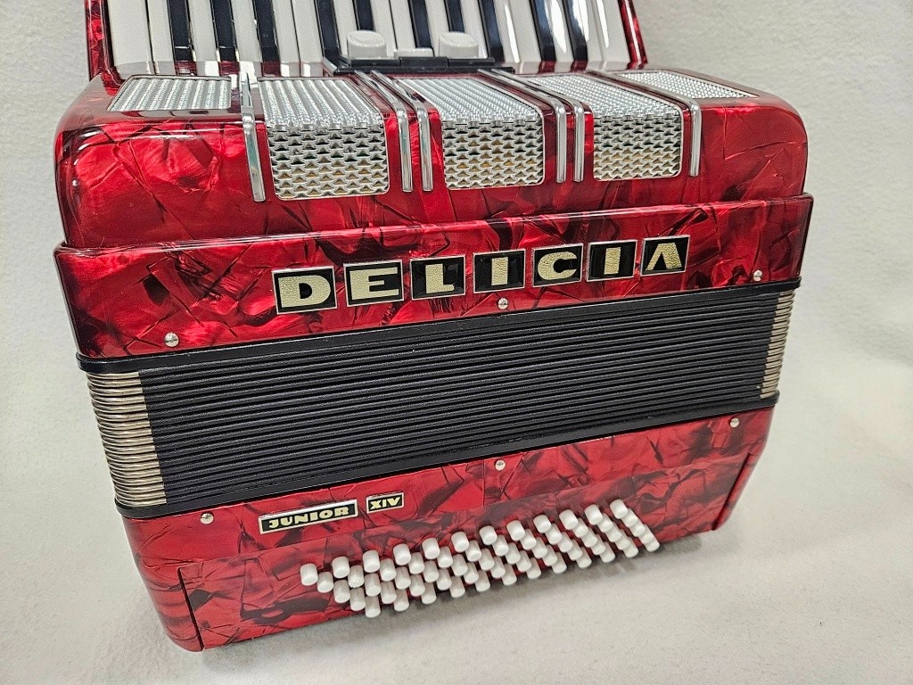akordeon delicia junior 60 basovy - 3