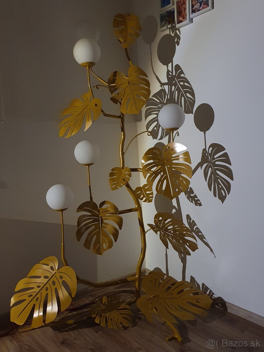 Monstera svietnik - 3