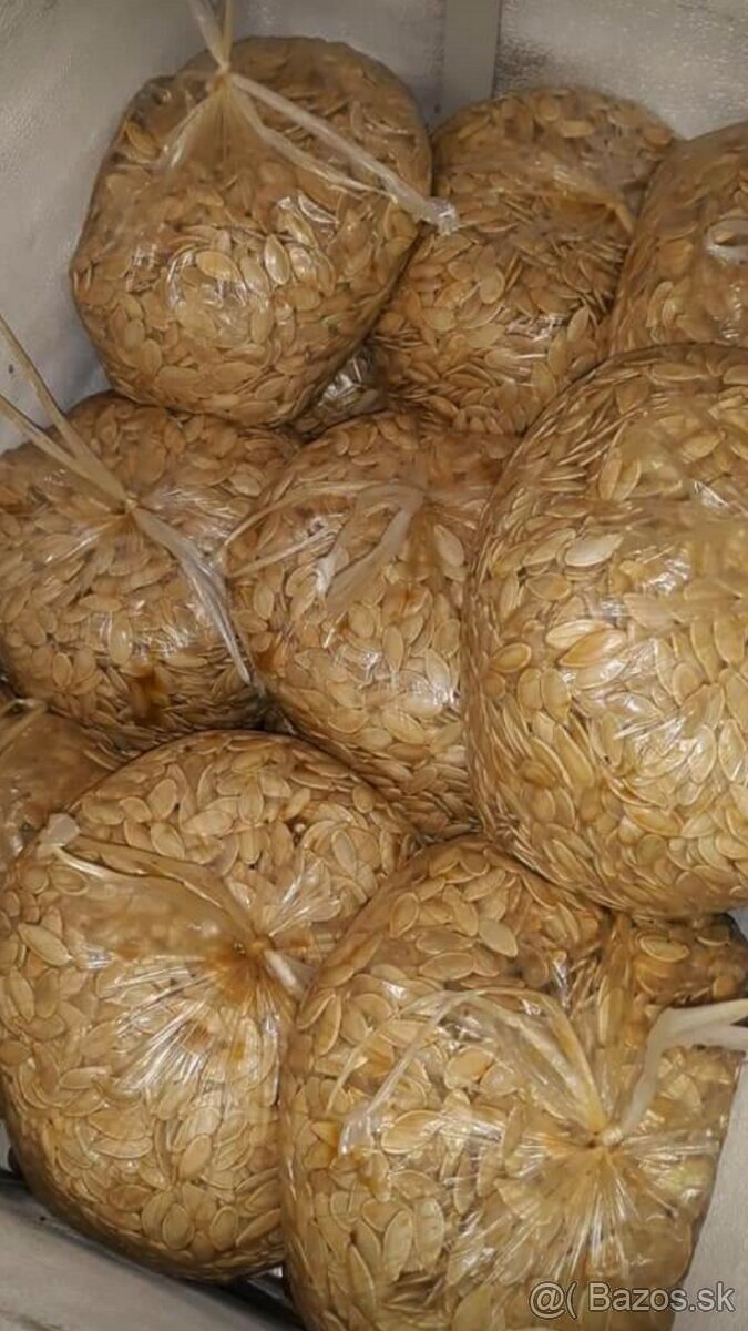 Tekvicove Jadierka . neumývané ručne vybrane - - 3