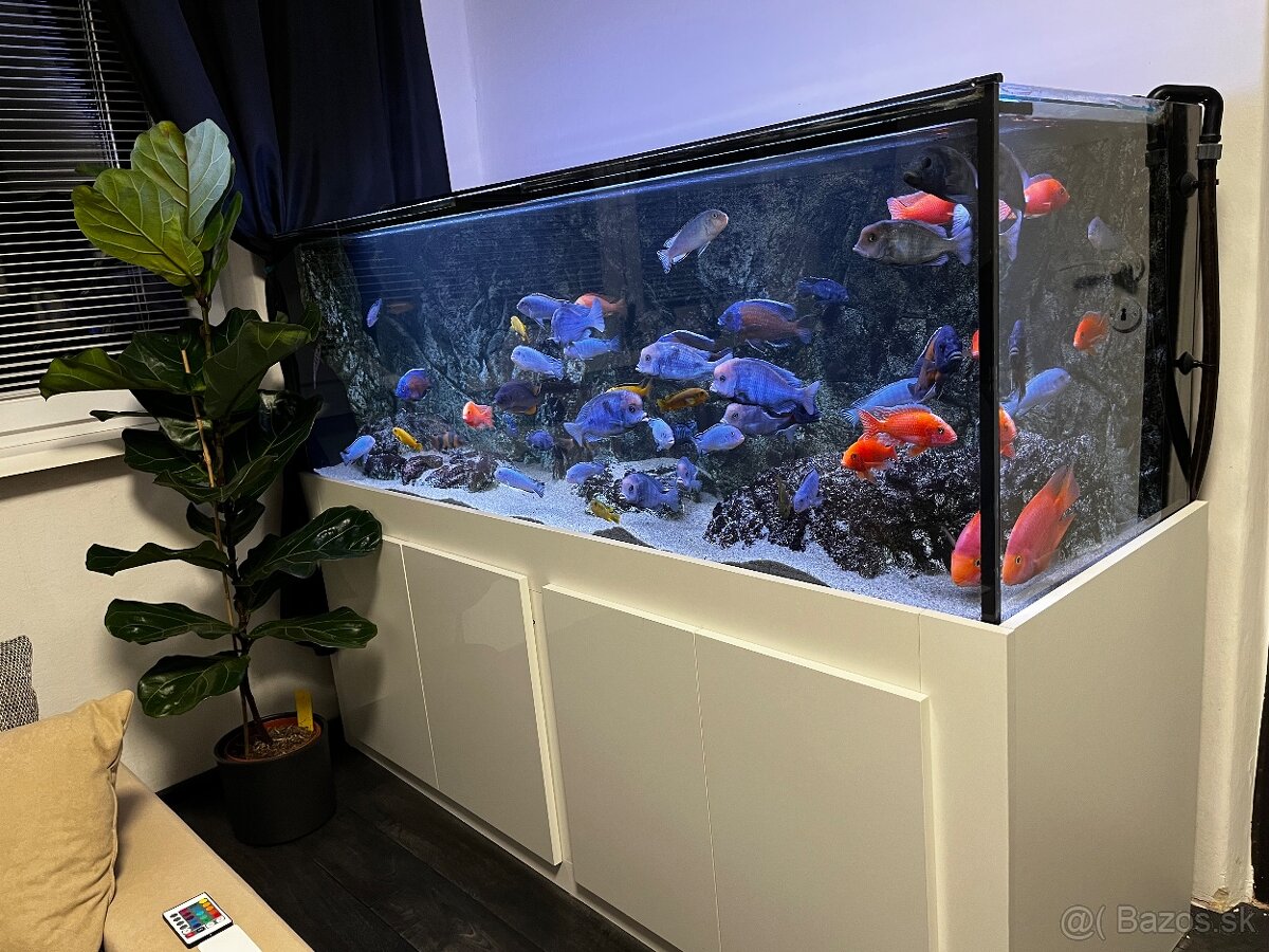 Predám Akvárium 680 L - 3