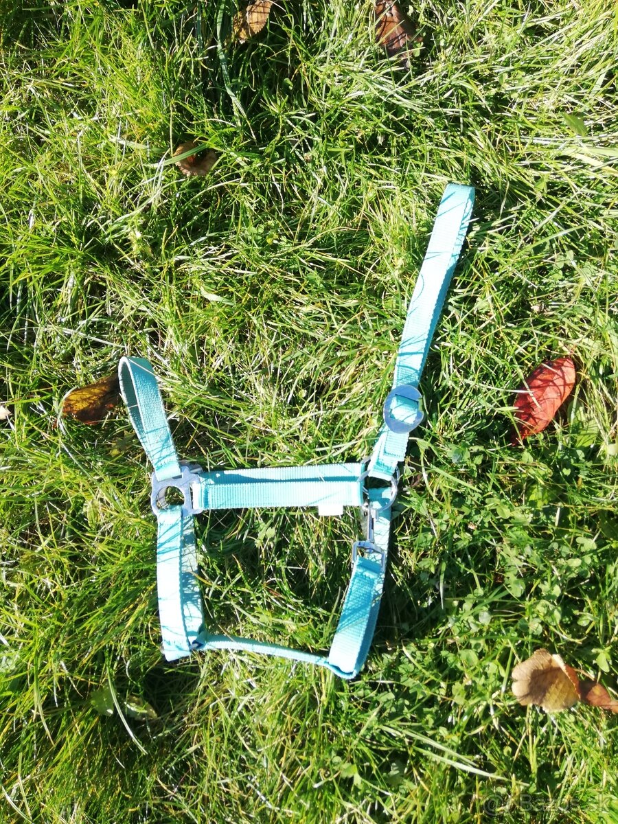 Predám jazdecké potreby - 3