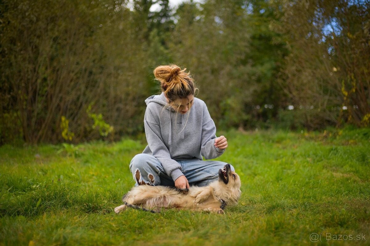 Darujem malú jemnú chlpatú sučku - mix špic Čita - 3