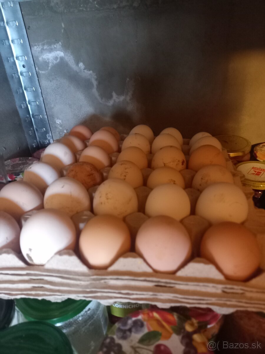 Nasadové vajička - 3