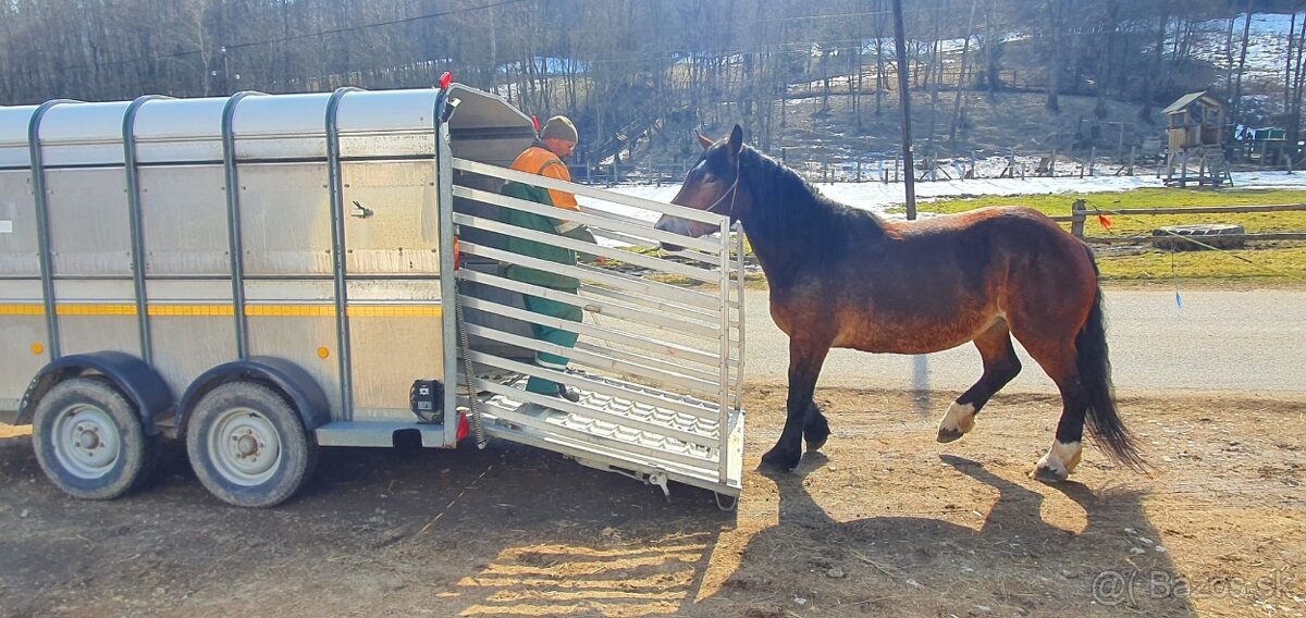 Preprava zvierat - 3