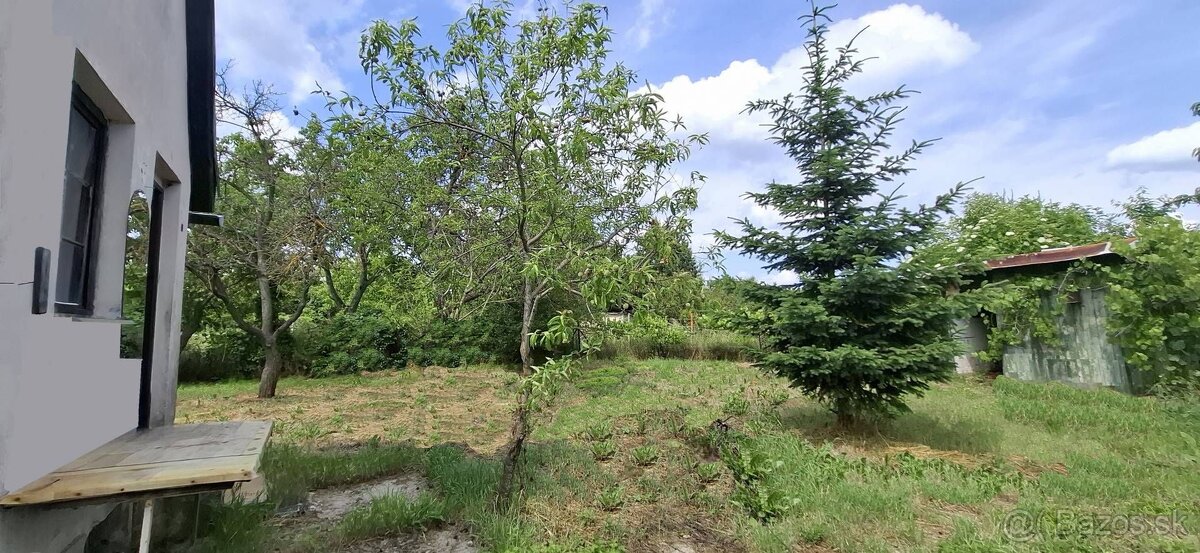 Predaj: Záhrada v Novom Meste nad Váhom - 3