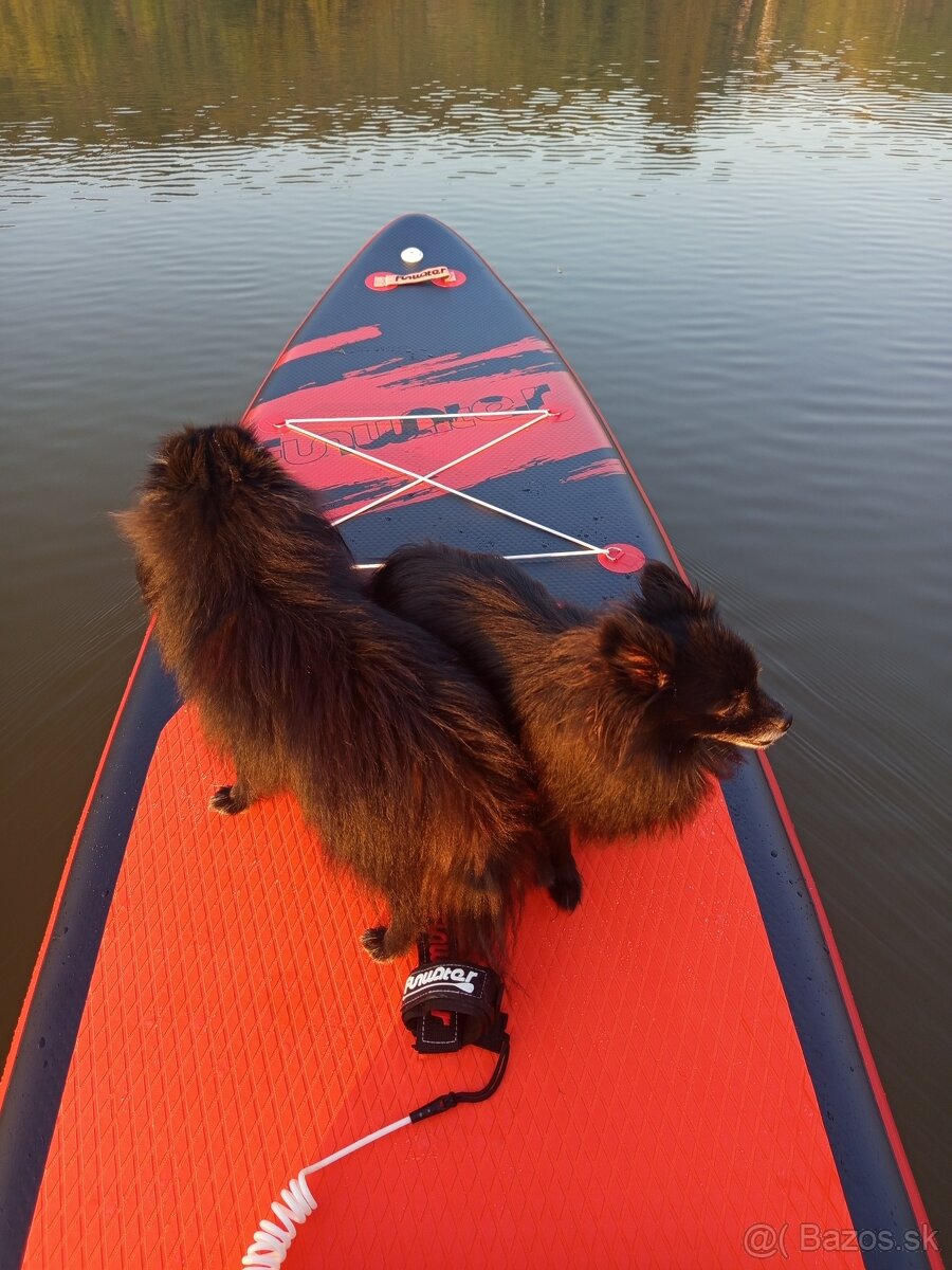 Paddleboard veľký - 3