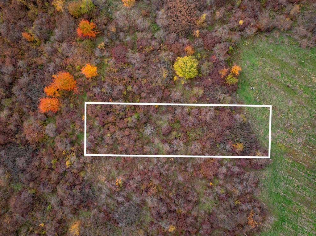 TOREA - BUDÚCI STAVEBNÝ POZEMOK NA PREDAJ - PEZINOK, MUŠKÁT - 3