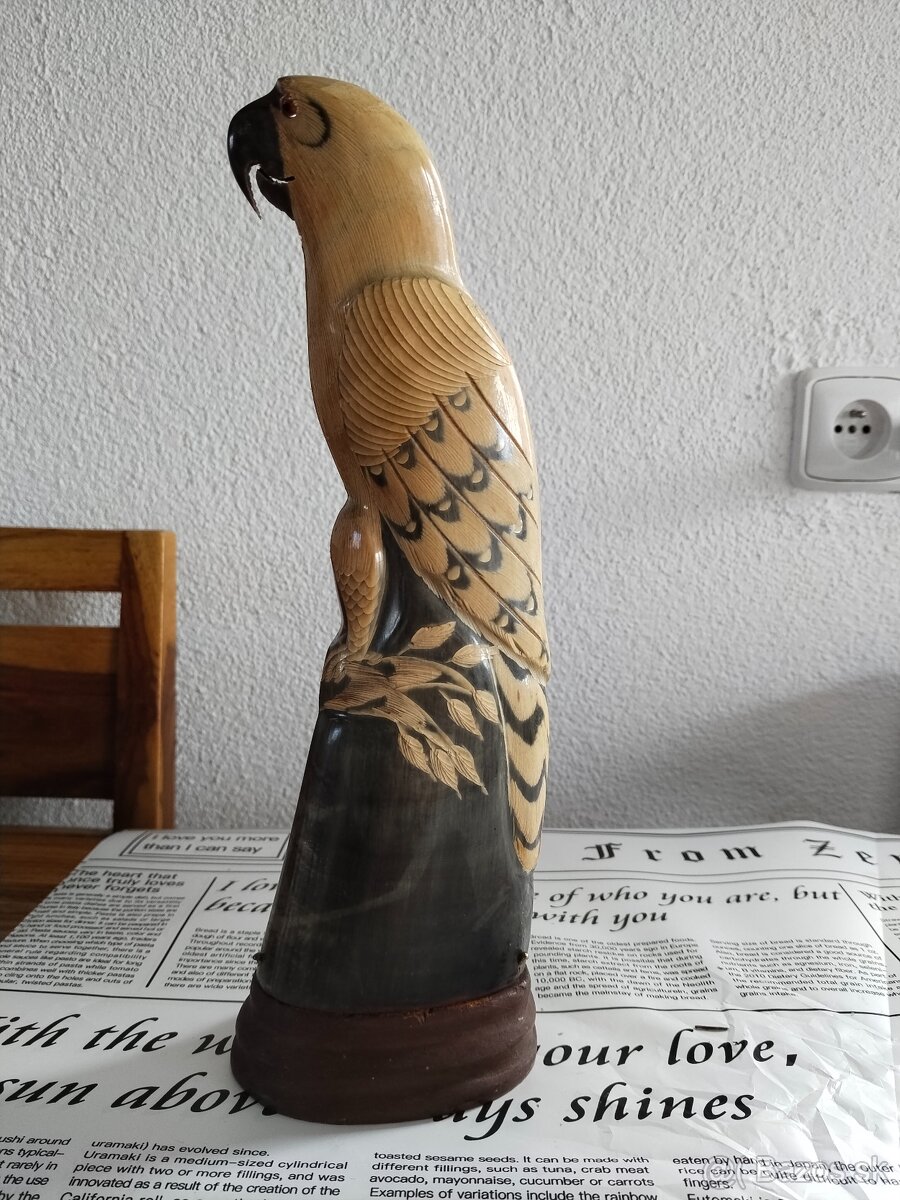 Papoušek z volského rohu - 3