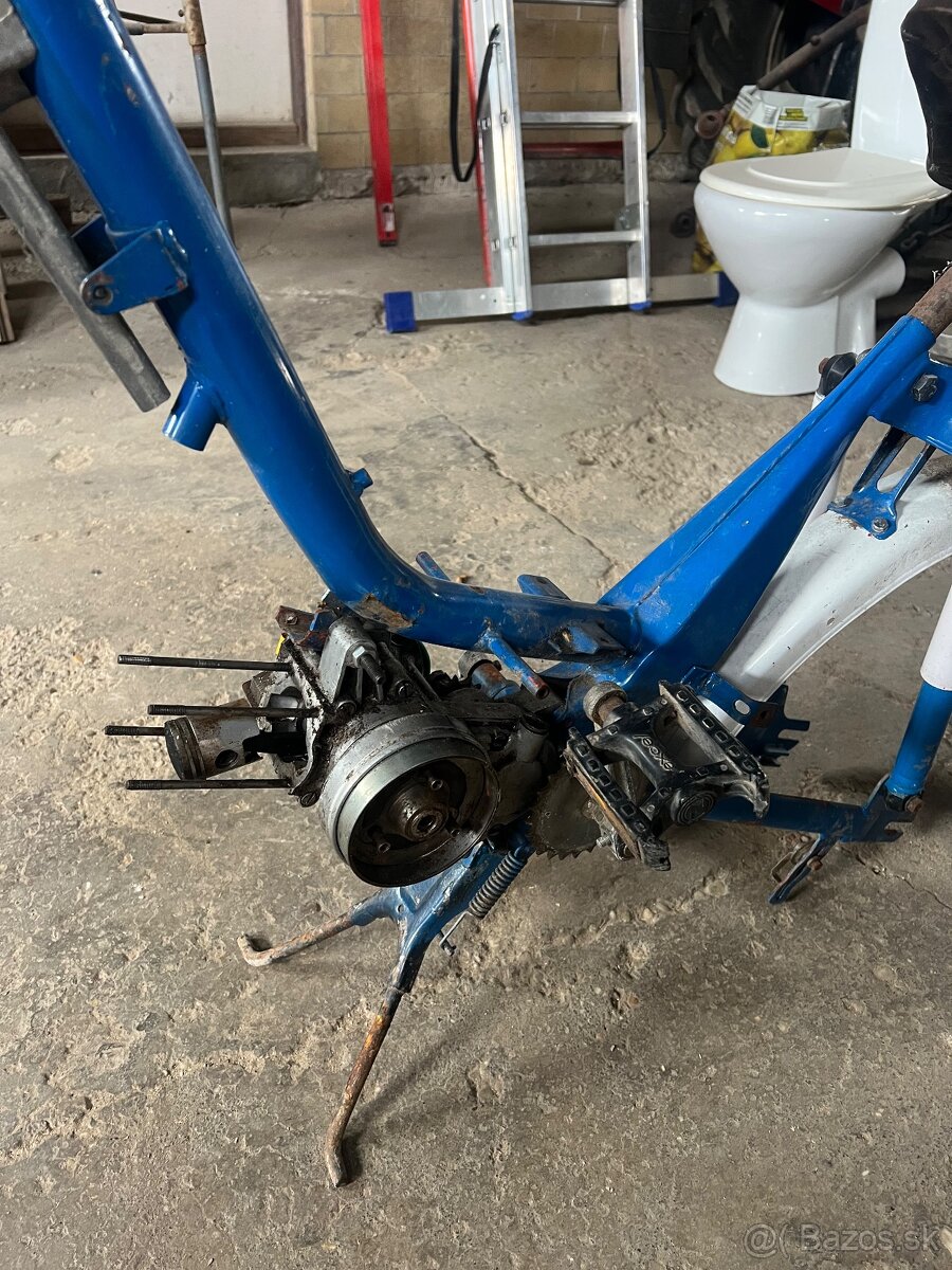 ✅Torzo babetta 207✅ - 3