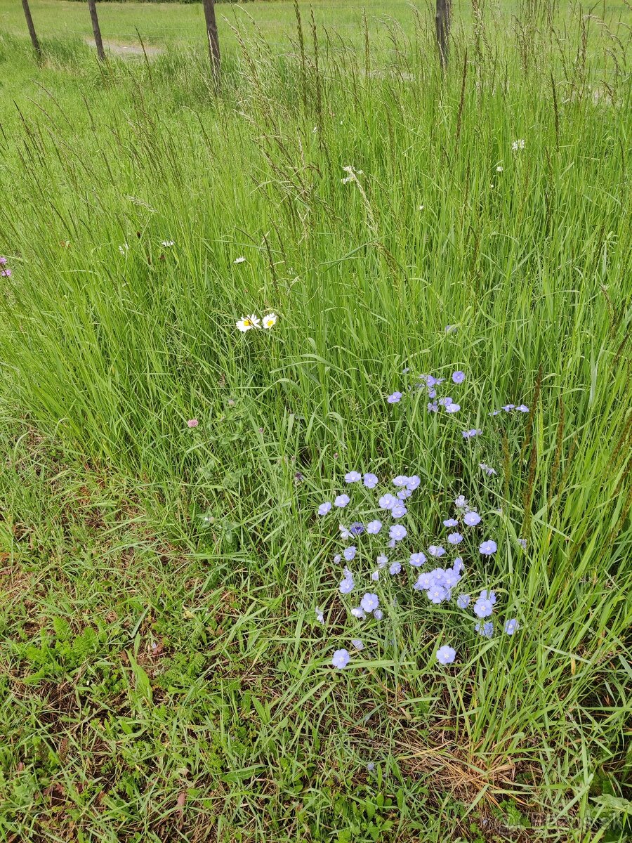 Myjavské kopanice pozemok na predaj. - 3