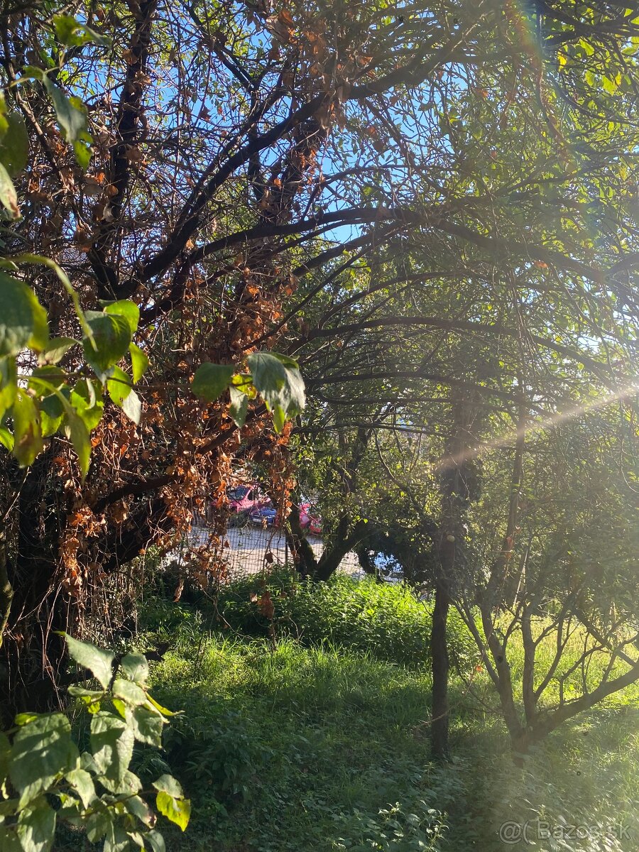 Pozemok Stupava, 2163 m2, VIS - 3