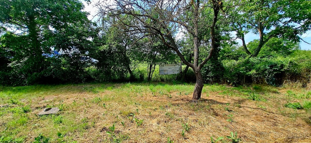 Záhradka v Novom Meste nad Váhom - 3