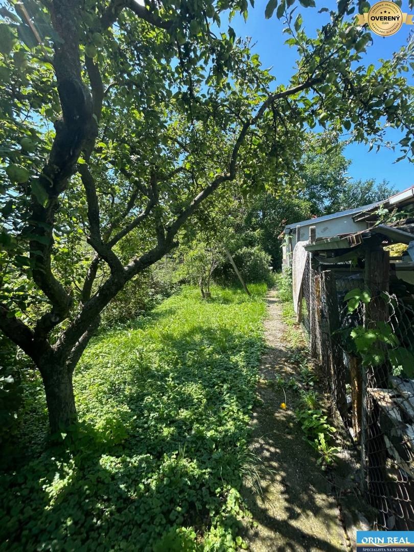 Na predaj starší rodinný dom v obci Budmerice 541m2 - 3