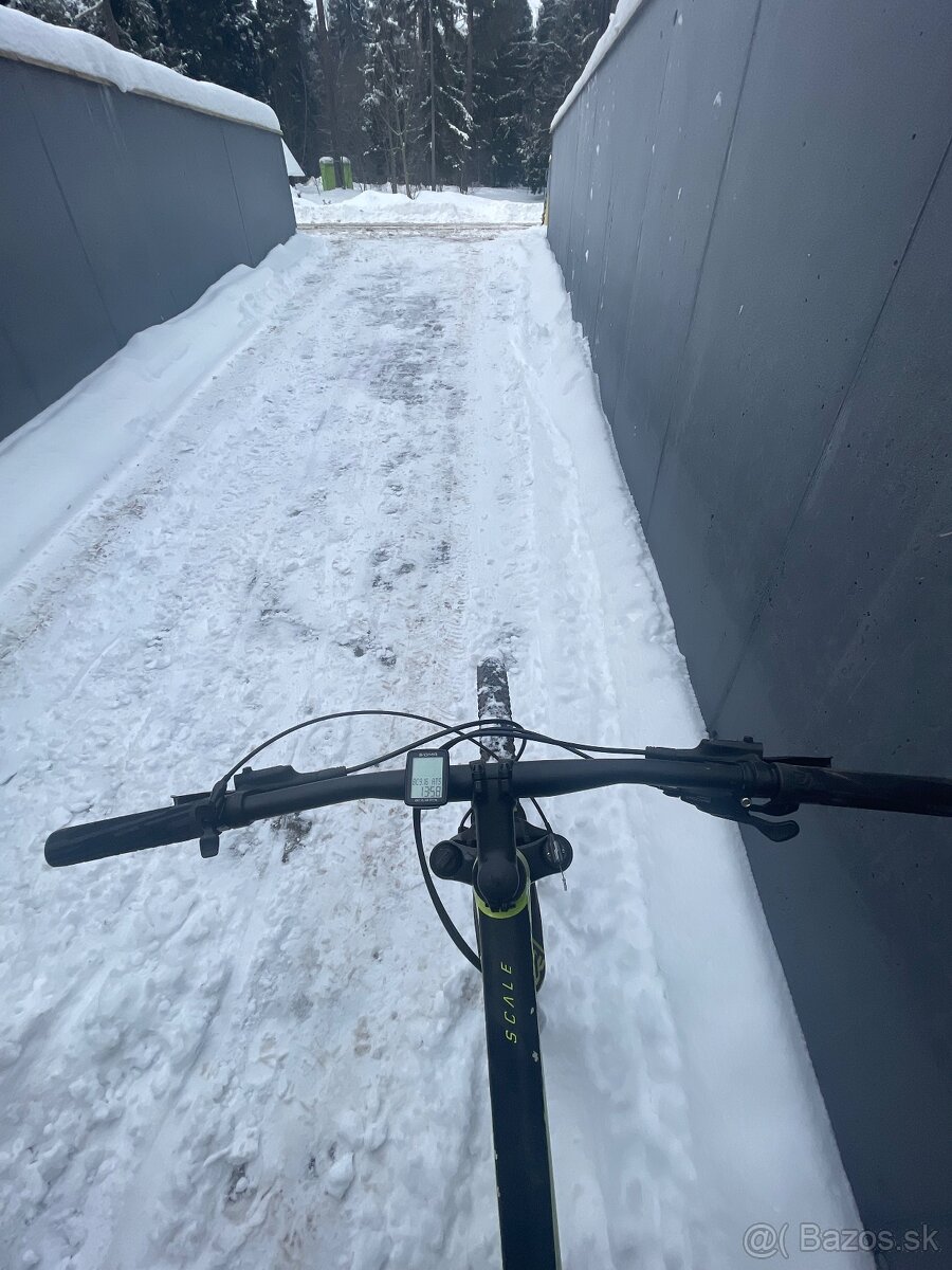 Scott scale yellow - 3