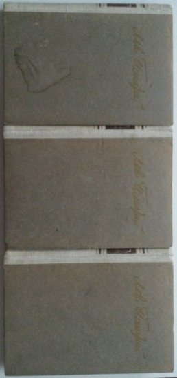 L.N.Tolstoj - Anna Kareninova - 3