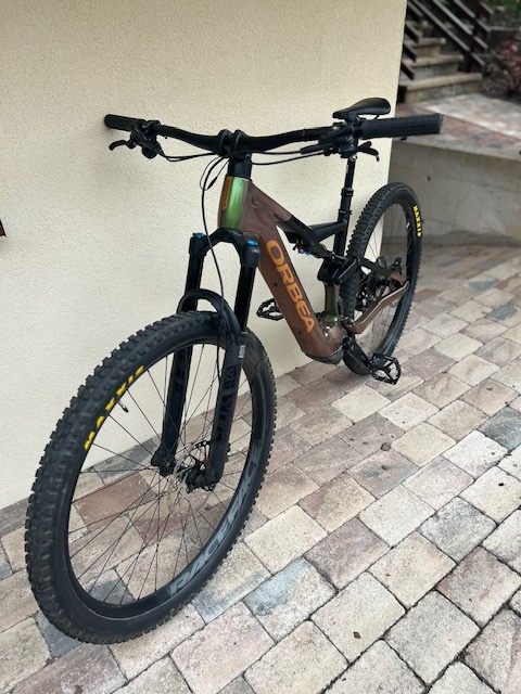 Orbea RISE M20 29 - chameleon goblin green/black - 3